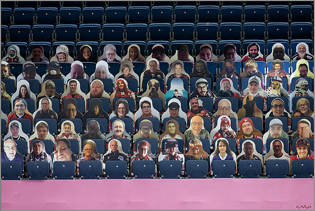 PENNY DEL;  Koelner Haie - Fischtown Pinguins Bremerhaven; Koeln, 12.02.2021